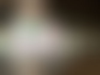 ケアテックス広島に行ってきました