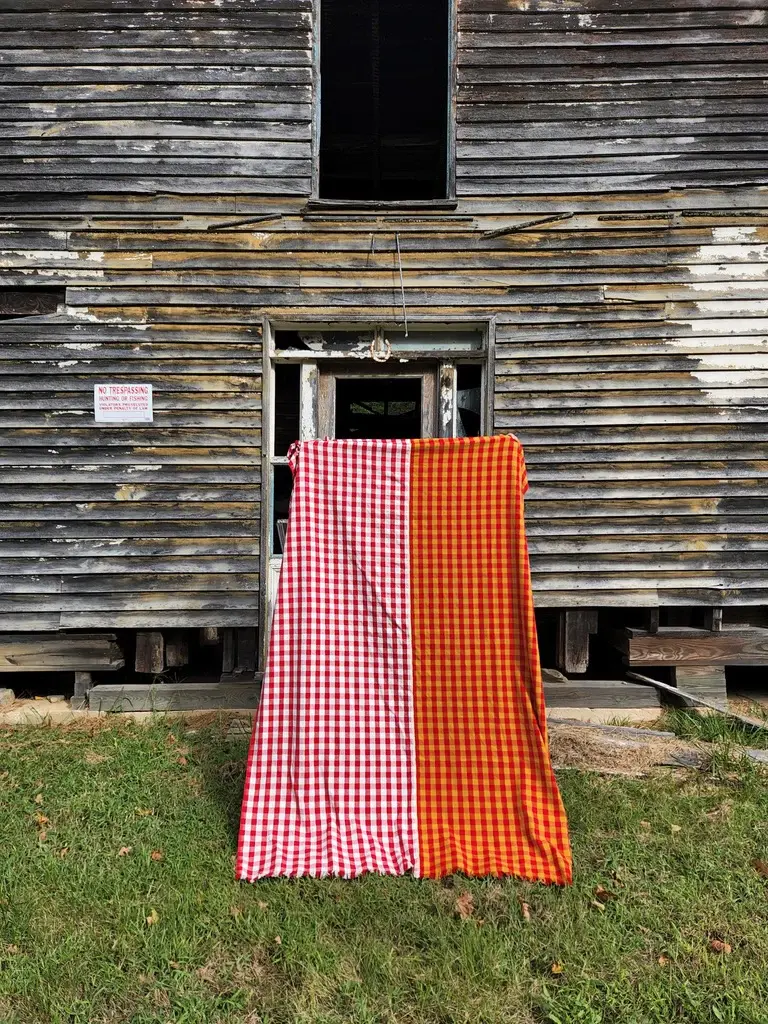Thumbnail: Ketchup & Mustard Gingham Tablecloth