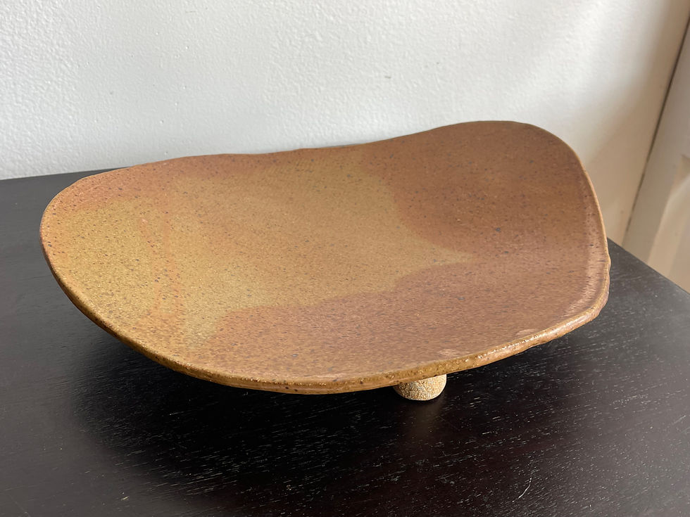Ceramic Earthtone Slab Dish