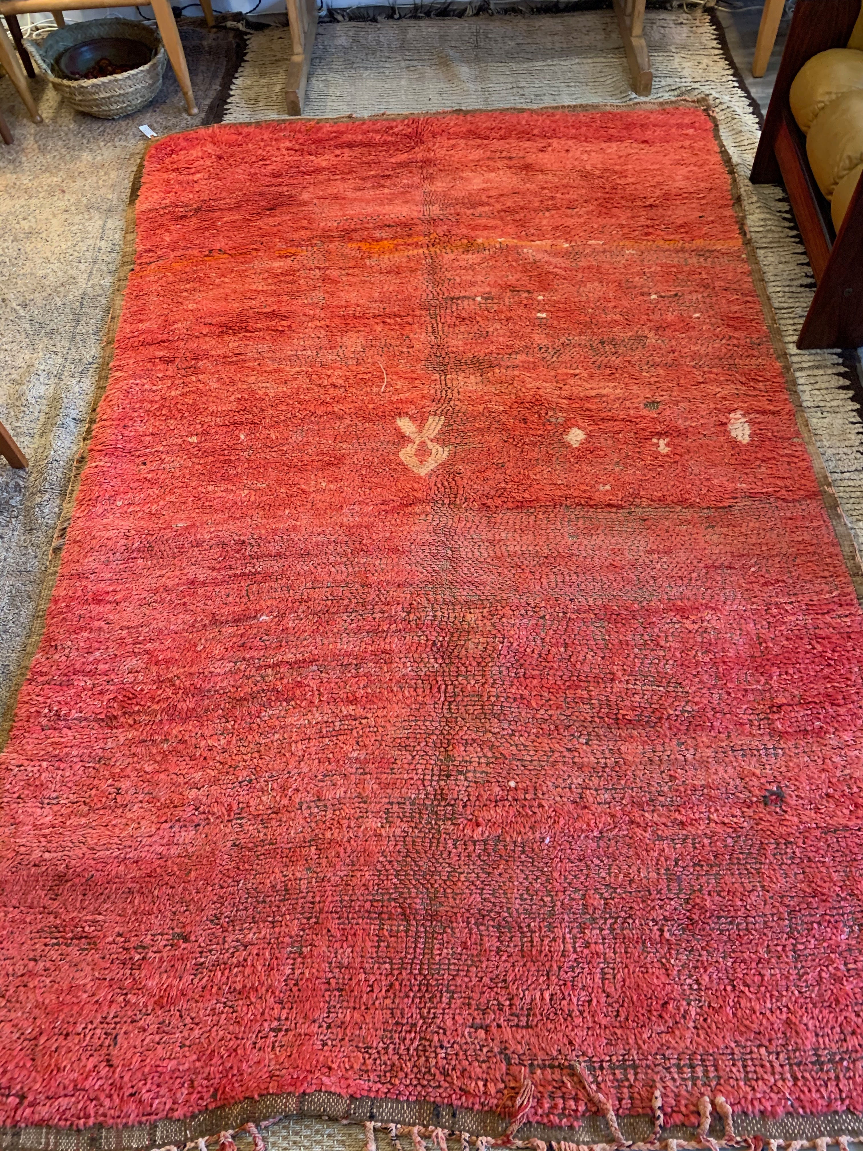 1950's Rare Red Boujad