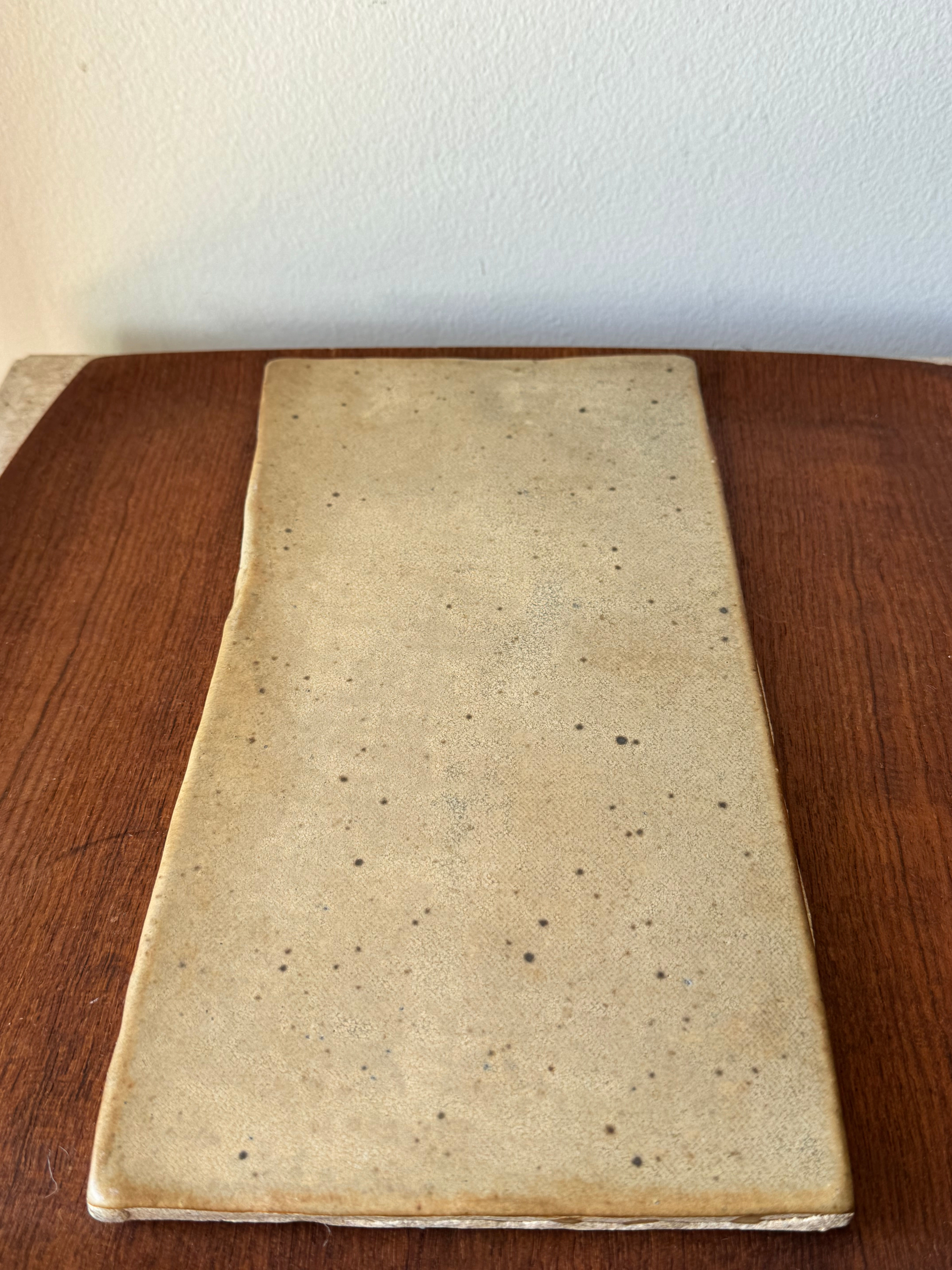 Ceramic Speckle Flat Slab Plate