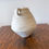 Thumbnail: Small White Ceramic sculptural vessels by Clare Fawn