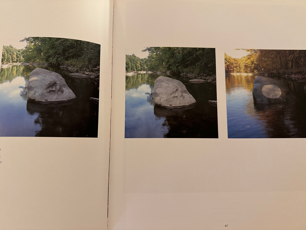 Thumbnail: Andy Goldsworthy - Wall