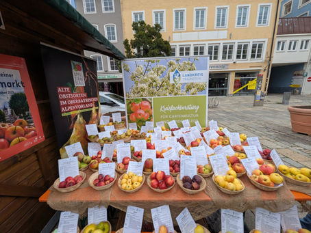 Herbstliches Highlight: Apfelmarkt 2025