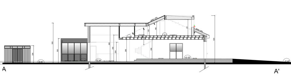 Plan de coupe rénovation Véronique Jannin Saint-Bevin