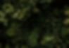 Beautiful Landscape_edited_edited.jpg