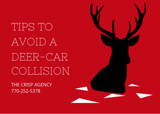 While we are not in peak deer season, deer- car collisions still happen. Call The Crisp Agency for all of your insurance needs. We specialize in auto, home, life and small business insurance. We serve coweta and fayette county and the surrounding areas. Newnan, Sharpsburg, Peachtree City, Senoia, Moreland, Grantville.