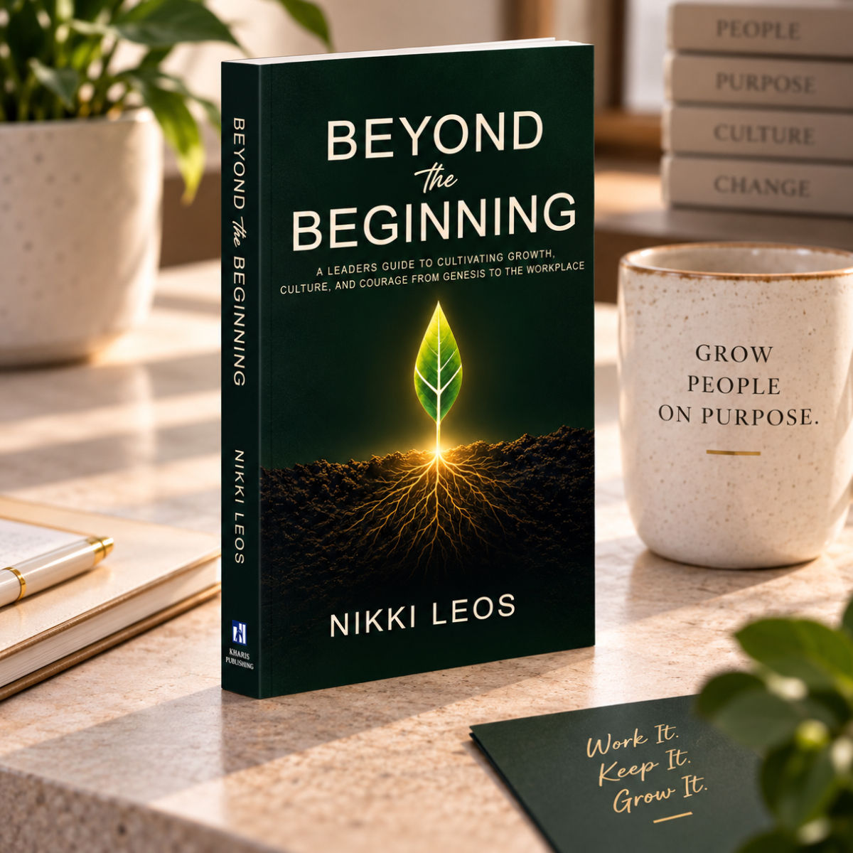 Beyond the Beginning