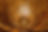 books-2869_1280.jpg