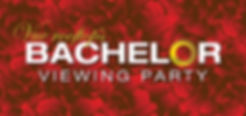 BachelorViewingParty.jpg