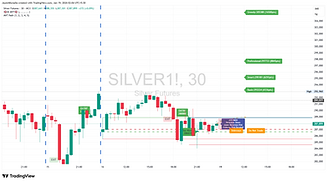 SILVER1!_2026-01-19_02-04-32.png
