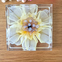 Yellow Daffodil Resin Blooms on Rimmed Glass Holder Coaster Set of 2