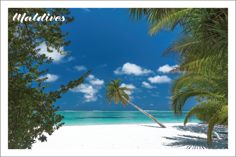 Send a piece of paradise! This postcard perfectly captures the quintessential Maldivian dream. Featuring a pristine white sand beach framed by swaying palm trees, crystal-clear turquoise waters, and a brilliant blue sky, it's an idyllic scene of pure serenity. Printed on premium 400gsm card (6x4in), it's the perfect way to share or forever cherish your tranquil Maldivian escape.