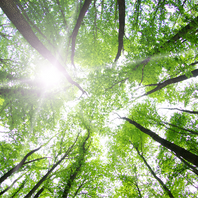 2022年 夏期講習生 募集中!