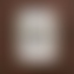 本の紹介『カラスのいいぶん』