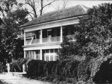 Magnolia Vale