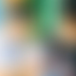 "Election Extravaganza: Unleashing the Power of SELG and SSLG!"