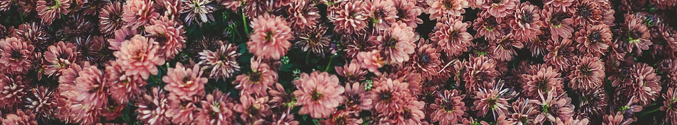Fleurs