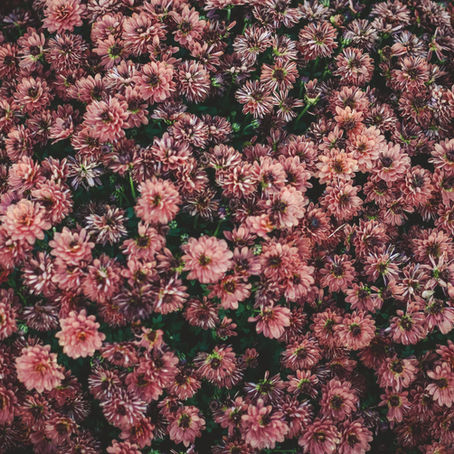 Le « retard de règles » n’existe pas, c'est un retard d'ovulation 