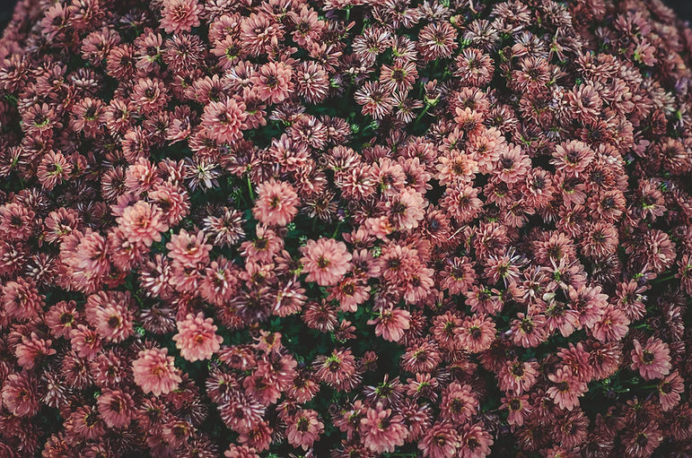 Blumen