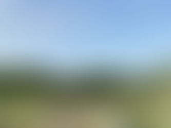 Hormones 101: The Basics of What Makes Us Tick