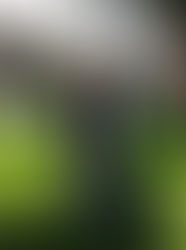 JOSE UNO DE NUESTROS MAESTROS