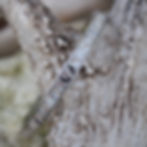 Antler Bracelet by The Antlered Doe