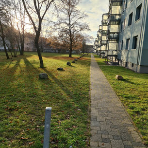 20201221_095051.jpg