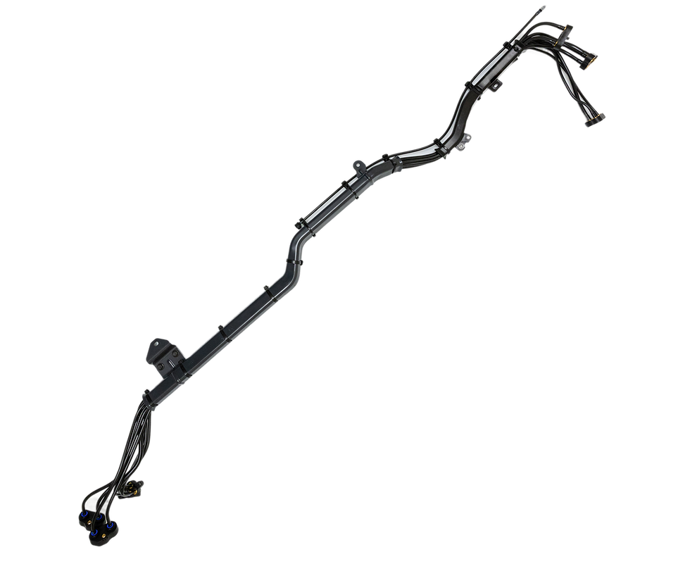 Frame 10.png