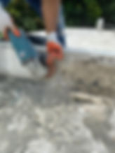 scc.jpeg