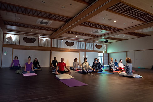 YogaTree_07.jpg
