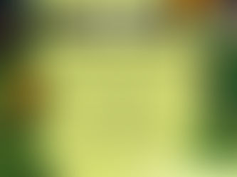 ADMINISTRAÇÃO MUNICIPAL EMITE COMUNICADO SOBRE TERRENOS QUE NÃO ESTIVEREM LIMPOS E CONSERVADOS.