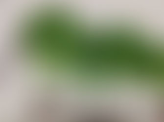 BATIDA POLICIAL RESULTA EM DUAS PRISÕES NO DISTRITO DE CATIARA