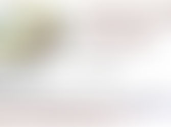 REUNIÃO PARA OS ESTUDANTES QUE UTILIZAM O TRANSPORTE PARA PATROCÍNIO E PATOS DE MINAS.