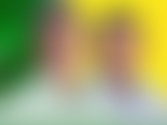 CANDIDATOS JOCA E DANGA FORAM ELEITOS EM SERRA DO SALITRE – MG