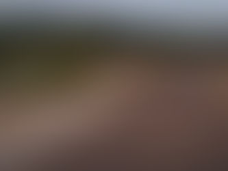 POLÍCIA INVESTIGA DESTRUIÇÃO DE LIMITADOR DE ALTURA EM CRUZAMENTO DE RODOVIA / SERRA DO SALITRE