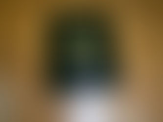 VEREADORES SERRALITRENSES RECEBEM SUAS CREDENCIAIS