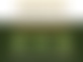 SOBRE REGISTRO DE CASO SUSPEITO DE CORONAVÍRUS EM SERRA DO SALITRE - MG