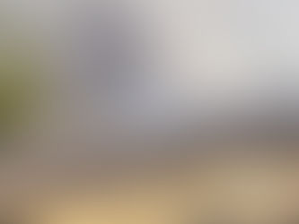 INCÊNDIO DE GRANDES PROPORÇÕES PRÓXIMO A SEDE DA MINERADORA YARA SE ALASTRA PELA REGIÃO