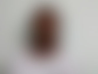 NOITE DESTA QUARTA FEIRA COMEÇA COM CRIME DE MORTE EM SERRA DO SALITRE – MG