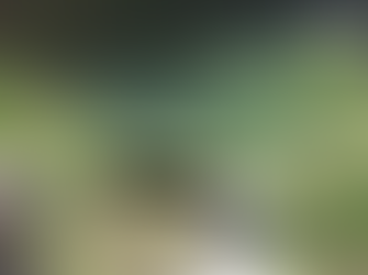 CORPO É ENCONTRADO BOIANDO EM RIO DE SERRA DO SALITRE