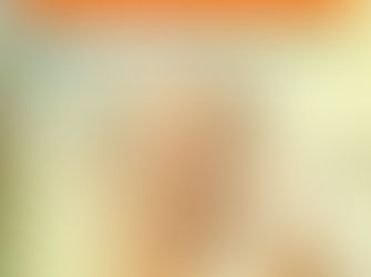 I CONFERÊNCIA MUNICIPAL DOS DIREITOS DA PESSOA IDOSA.