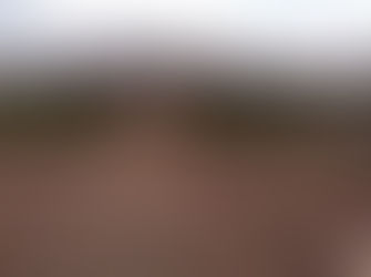 VEREADORES SERRALITRENSE QUEREM QUE FUNCIONÁRIO PRESTE ESCLARECIMENTOS.