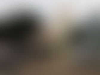 SERRA DO SALITRE COMEMOROU COM FESTA O DIA DE SEU PADROEIRO SÃO SEBASTIÃO