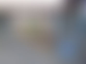 CATIARA REALIZOU PRIMEIRO FESTIVAL DE TALENTOS