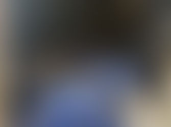 POLÍCIA MILITAR RECUPERA CARGA FURTADA EM FAZENDA NO MUNICÍPIO DE SERRA DO SALITRE -MG