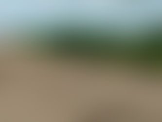 MORADORES DA RUA DOS IPÊS PEDEM PROVIDÊNCIAS CONTRA ABANDONO DE LOTES NO BELA VISTA