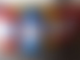 COMERCIANTES SERRALITRENSES ORGANIZAM NOVA REMESSA DE LIXEIRA PARA SEUS ESTABELECIMENTOS.