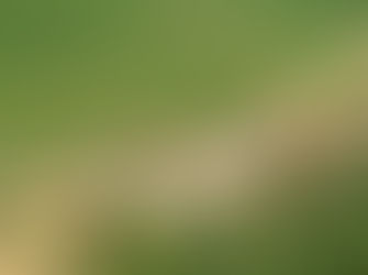 SOBRE CADASTRO AMBIENTAL RURAL – CAR