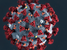 INFORMAÇÕES SOBRE EXISTÊNCIA DE 70 CASOS DE COVID-19 EM SERRA DO SALITRE É FAKE NEWS